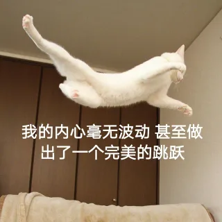 我的内心毫无波动甚至做出了一个完美的跳跃