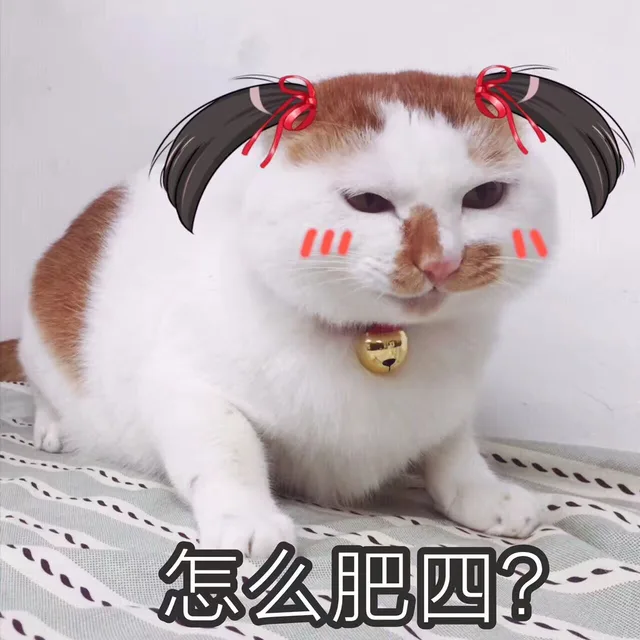 1\怎么肥四?（1\怎么肥四?）