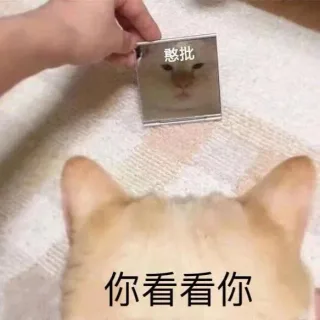 你看看你，你看看我表情包
