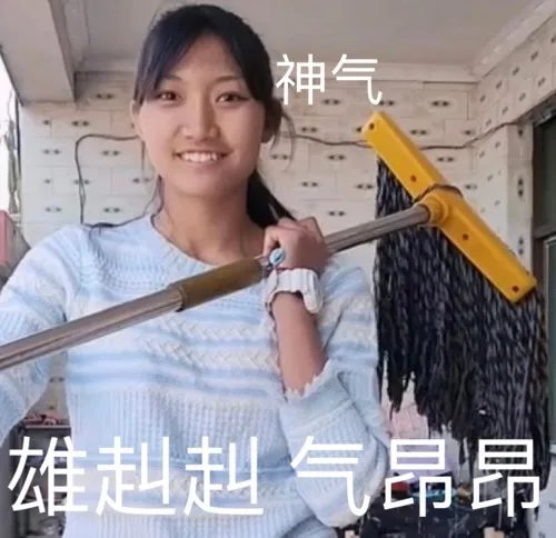 神气雄赳赳气昂昂