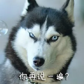 你再说一遍？（你再说一遍？）