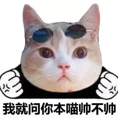 我就问你本喵帅不帅（我就问你本喵帅不帅）