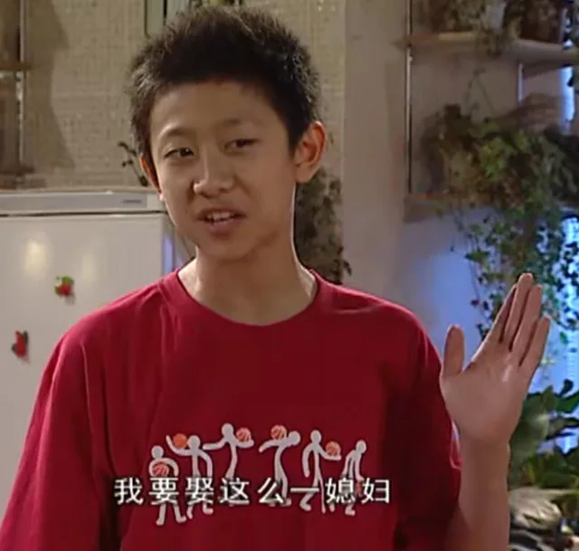 我要娶这么一媳妇