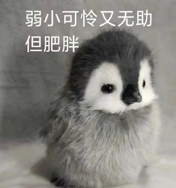弱小可怜又无助但肥胖（弱小可怜又无助但肥胖）