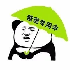 爸爸专用伞（熊猫头打伞）