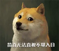 简直无法直视不堪入目（简直无法直视不堪入目）