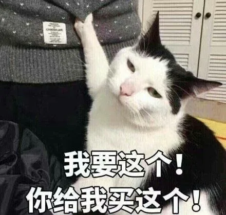 我要这个！你给我买这个！