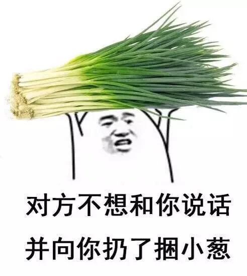 对方不想和你说话 并向你扔了捆小葱