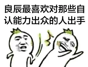 良辰最喜欢对那些自认能力出众的人出气