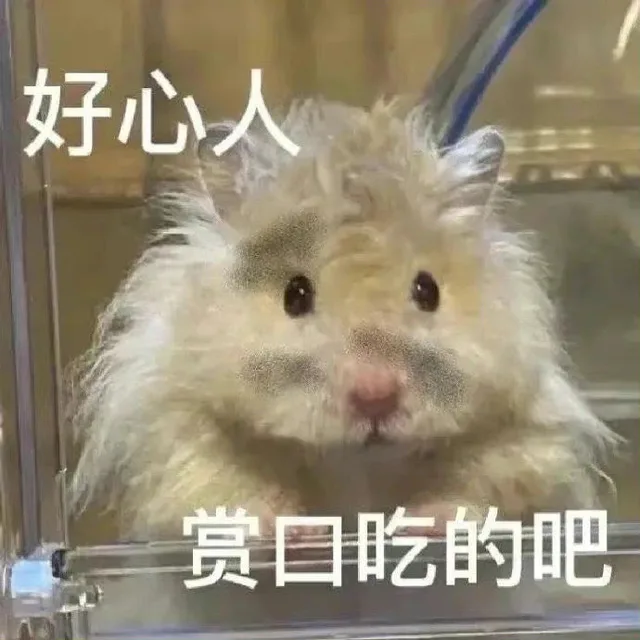 好心人赏口吃的吧（好心人赏口吃的吧）
