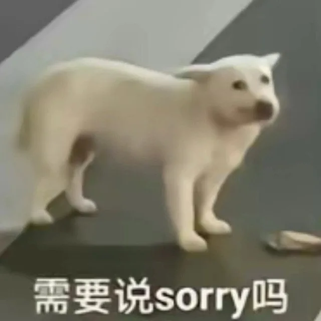 需要说sorryl吗（需要说sorryl吗）