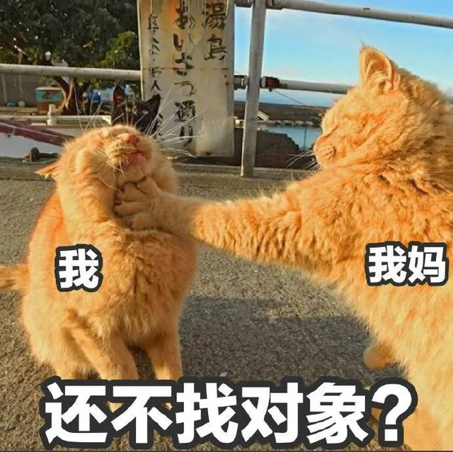 我妈锁喉我：还不找对象？（我妈锁喉我：还不找对象？）