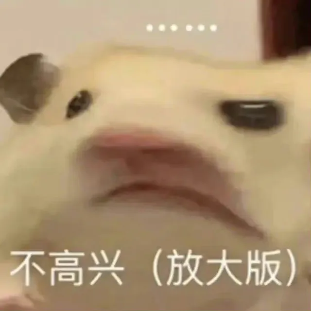 不高兴（放大版）（不高兴（放大版））