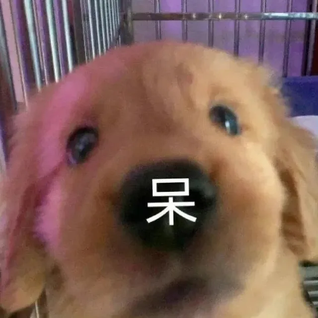 呆