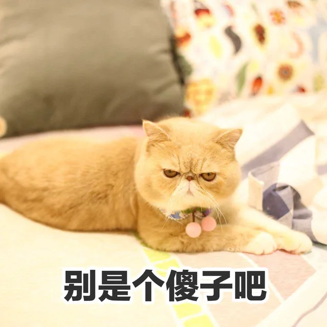 别是个傻子吧（别是个傻子吧）