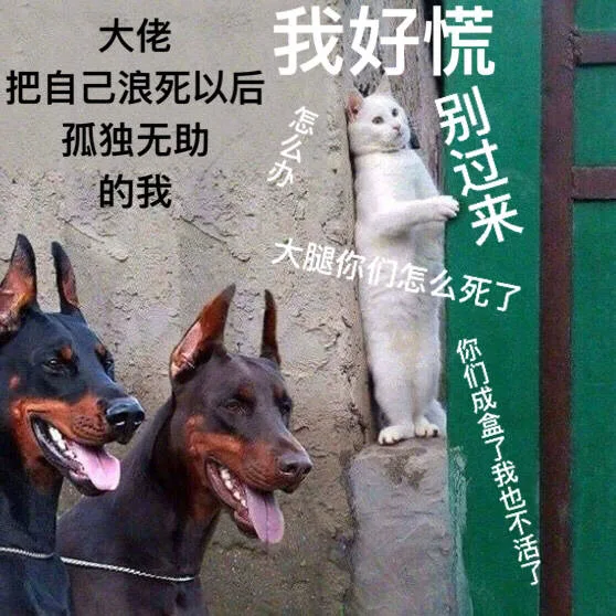 大佬把自己浪死以后孤独无助的我，我好慌，别过来！大腿你们怎么死了，你们成盒了我也不活了