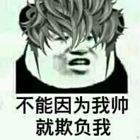 不能因为我帅，就欺负我