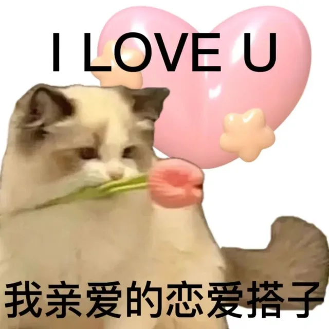 I LOVE U我亲爱的恋爱搭子（I LOVE U我亲爱的恋爱搭子）