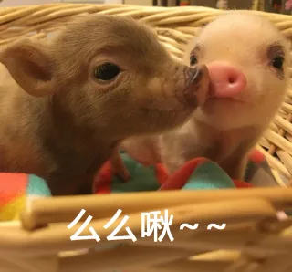 么么啾~~