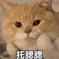 托腮腮（托腮腮）