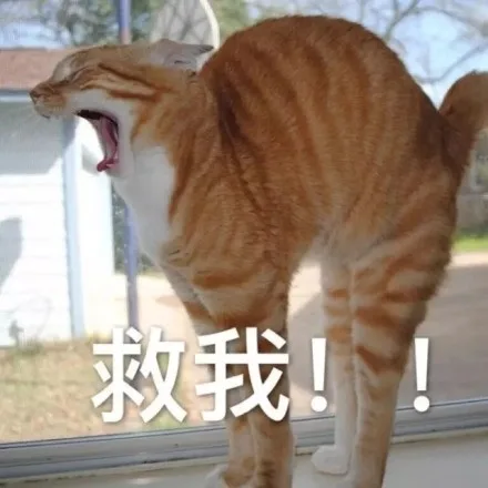 救我！