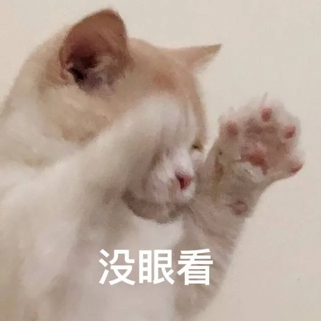没眼看（没眼看）