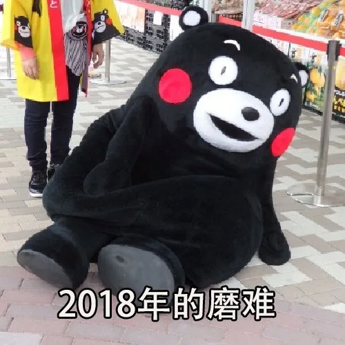2018年的磨难