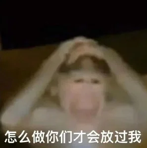 怎么做你们才会放过我（怎么做你们才会放过我）