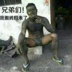 兄弟们！我搬砖回来了（兄弟们！我搬砖回来了）