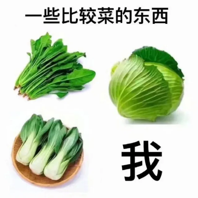 一些比较菜的东西我（一些比较菜的东西我）