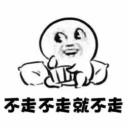 不走不走就不走