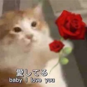 baby I love you（baby I love you）