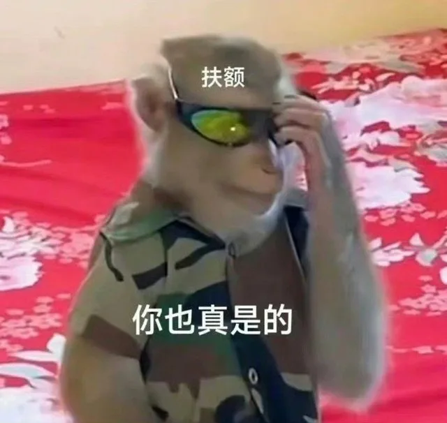 扶额你也真是的（扶额你也真是的）