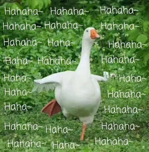 hahaha 哈哈哈