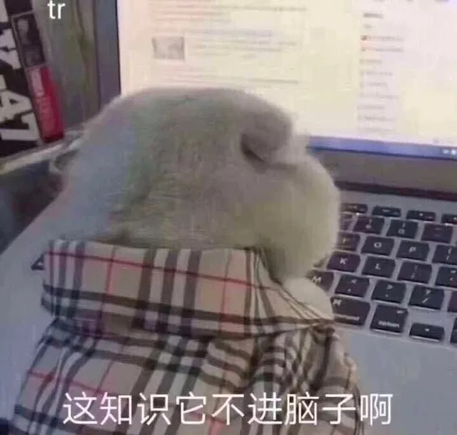 这知识它不进脑子啊（这知识它不进脑子啊）