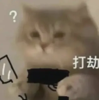 打劫