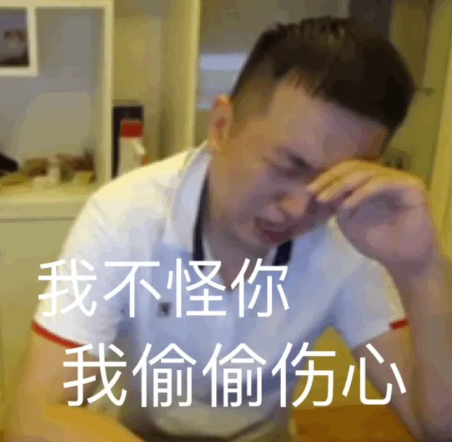 我不怪你我偷偷伤心
