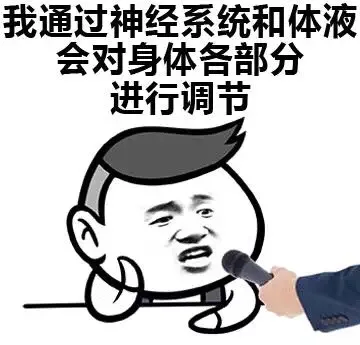 我通过神经系统和体液对身体各部分进行调节