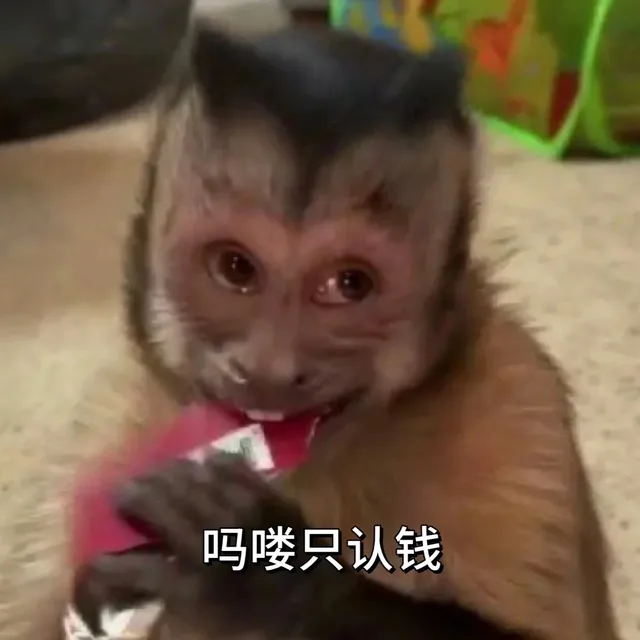 吗喽只认钱