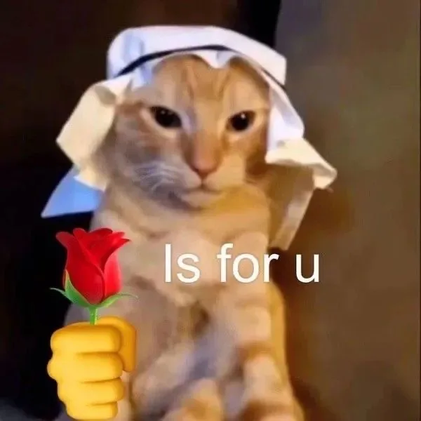 猫咪举花 is for your