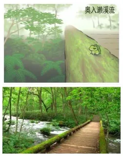 奥入濑溪流