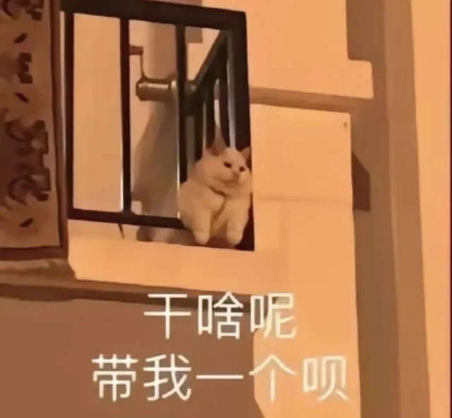 干啥呢带我一个呗(猫猫表情包)（干啥呢带我一个呗(猫猫表情包)）