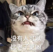 没有人可以，比老子更凶