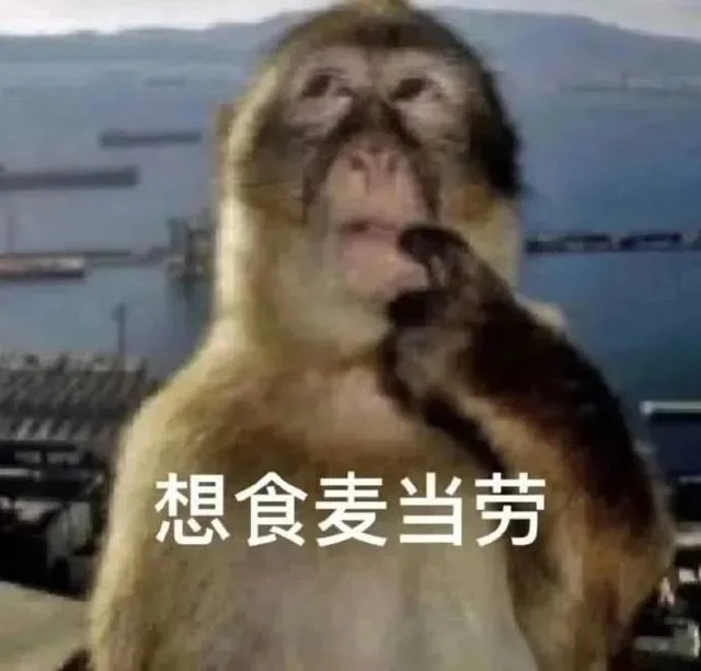 想食麦当劳（想食麦当劳）