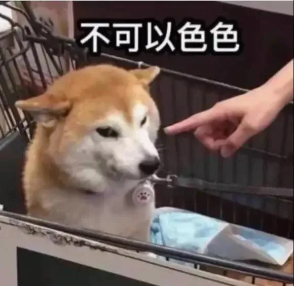 不可以色色（不可以色色）