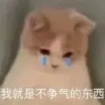 我就是不争气的东西（我就是不争气的东西）