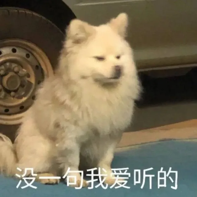 没一句我爱听的（没一句我爱听的）