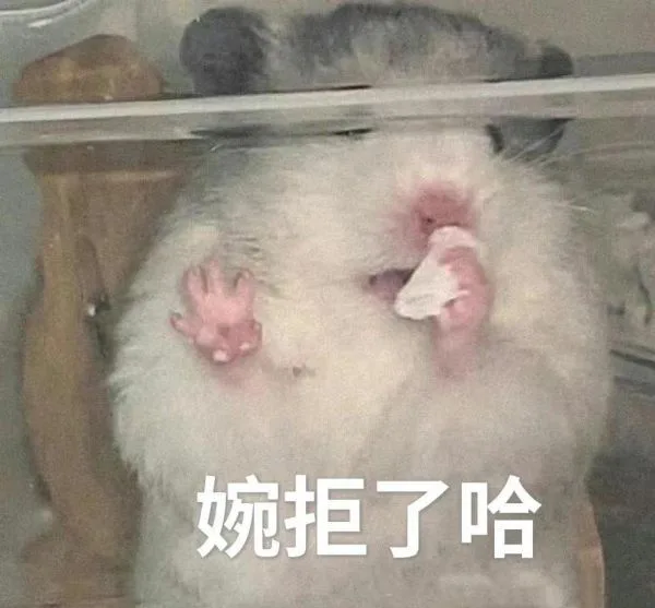 婉拒了哈（婉拒了哈）