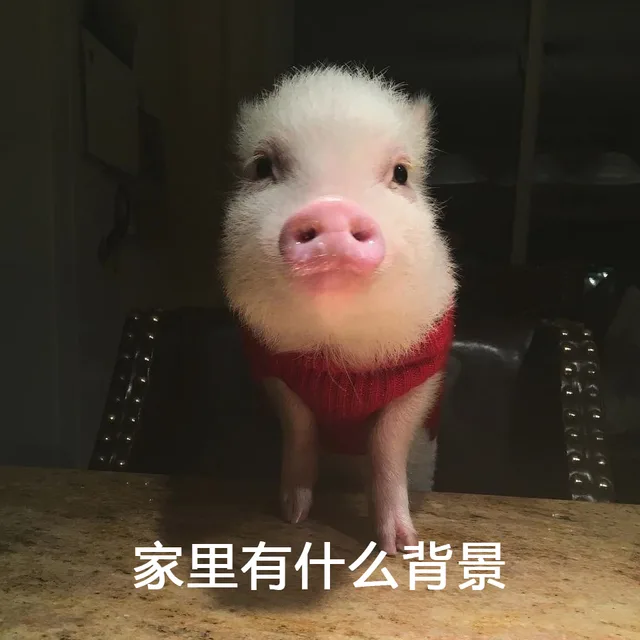 家里有什么背景（家里有什么背景）