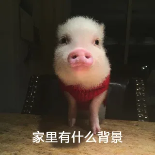家里有什么背景
